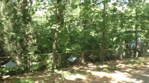 Керчь, по просьбе. Гагаринский парк 25.07.24