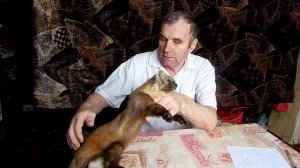 Где живет куница...