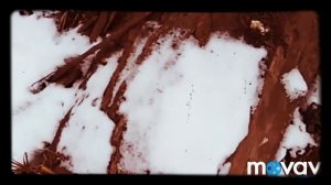 Лучшая коряга для аквариума. Легко.