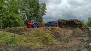 Трактор МТЗ 80 застрял в грязи/ ВЫЙДЕТ ИЛИ НЕТ?))))