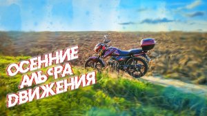 Осенние покатушки на мопеде | Перемахнул рубеж в 500 км на Motoland Alpha RF 11