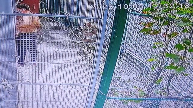 ВНИМАНИЕ,Таганрог,Гончарова 25,сиделец Еремин Л.А.,на камеру крутит жопой,и раскрывает жопу,, смотреть онлайн