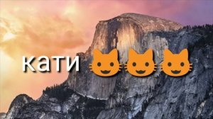 Ей мис кис кис давай верх давай вниз
