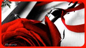 У женщины нет возраста...✦ Ян Райбург