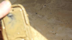 грязь Телефон DEXP Larus P1