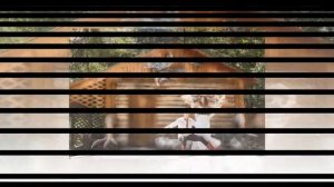 Свадьба Дениса и Екатерины в русском народном стиле.