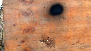 TR-9 Paradox (Сайга 9). Обзор тюнинга, пристрелка коллиматора Holosun.