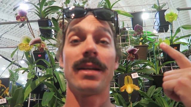 BUYING ORCHIDS | Sonya and Kennedy Vlogs смотреть онлайн