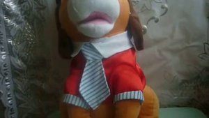 Поющая собака Ухажер