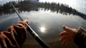 23 апреля 2022 года  Ловля весенней плотвы на боковой кивок!
