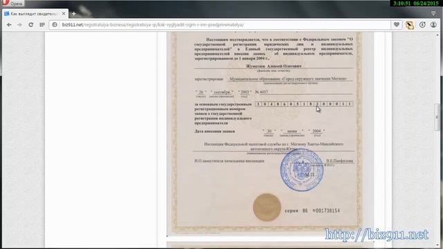 Как выглядит ОГРНИП и ИНН предпринимателя смотреть онлайн