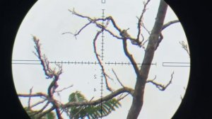 TELESCOPE MARCOOL 4-16X44 SF FFP‼️