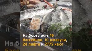 Симфония Морей -  круизный лайнер