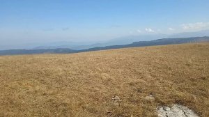 Осенние Лагонаки (2023). 6. Альпийские луга.