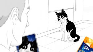 Felix® Sensations® с Хрустящим Топпингом