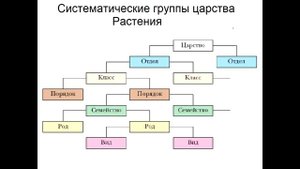 § 19 Систематика растений, её значение для ботаники