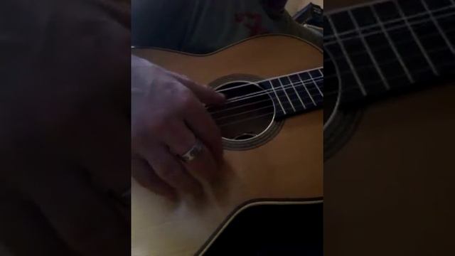 Classical guitar LIGNATONE