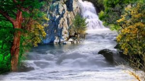 притча совесть