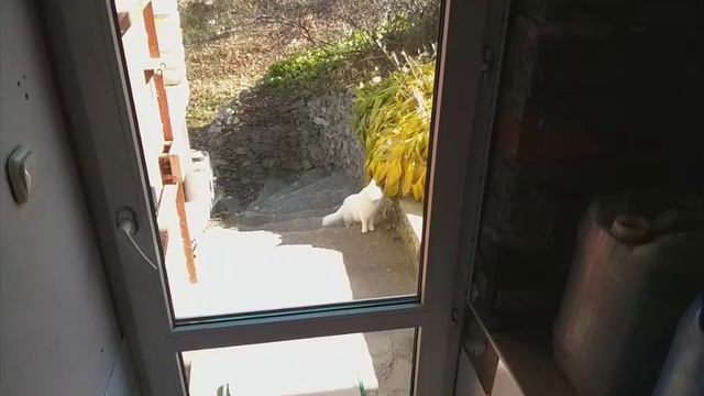 Готовлю гладиолусы к зимовке. Устанавливаем двери в зимний сад. Бракованные шурупы. нежданные гост смотреть онлайн