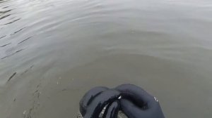 Поиск золота и серебра на озерах царских времен!!!