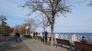 ОДЕССА ? 17.11.2023 ЭТОГО НЕ МОЖЕТ БЫТЬ!