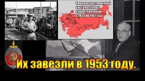 Их завезли в 1953 году. Вячеслав Котляров.