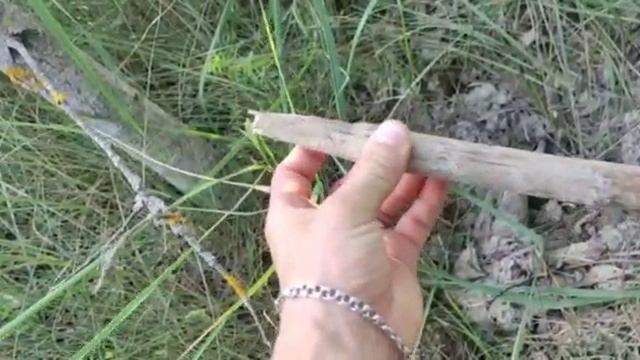 Самый простой солонец для зайца смотреть онлайн