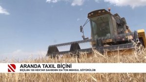 Aranda taxıl biçini