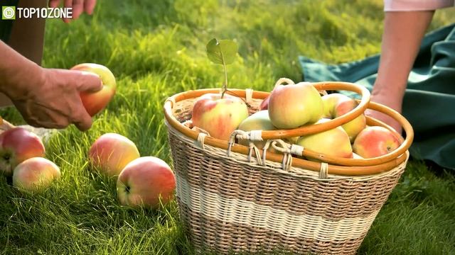 Top 10 Coolest Gardening Gadgets on Amazon смотреть онлайн