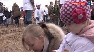 Акция "Наш лес. Посади свое дерево" пройдет 22 сентября