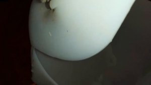 БУНКЕРНАЯ кормушка для кроликов.Как сделать кормушку кроликам.Самая простая кормушка для кроликов.