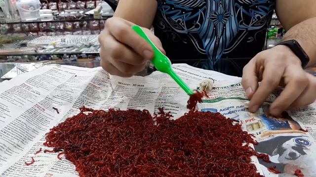 Как пользоваться пучковязом для мотыля.