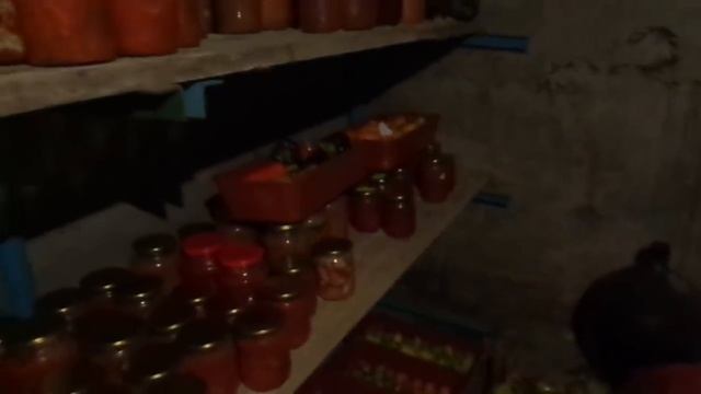 Приглашаю на экскурсию в мой подвал, где зимой хранятся томаты и перцы! смотреть онлайн