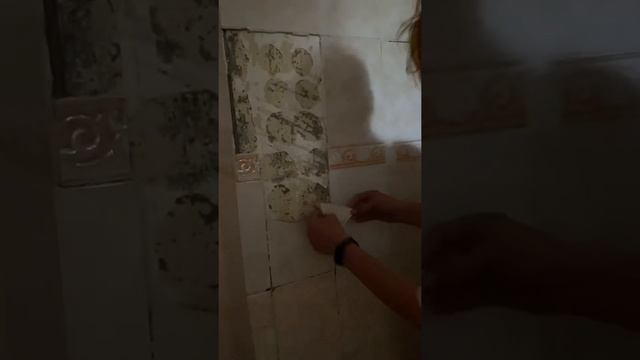 Установка плитки на заказ писать в лс(примеры работ) смотреть онлайн