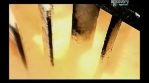 Как делают бенгальские огни? SD Znay VSЁ