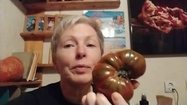 #30 #2022 Созрел последним. Помидор Полосатая зебра. #сад #огород #помидоры