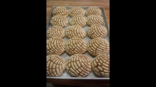 PIAC- Paige Hadley- verano 23 смотреть онлайн