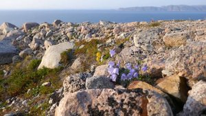 Баренцево Море, Кольский полуостров. Териберка. Barents Sea. Teriberka.