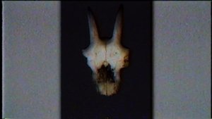 почему я слышу музыку (VHS HORROR)