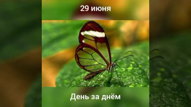 29 июня. День за днëм смотреть онлайн