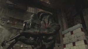 resident evil 6 ada ryona リョナ (rock queen mod)