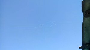 Что делать если Голуби засиделись и не хотят летать