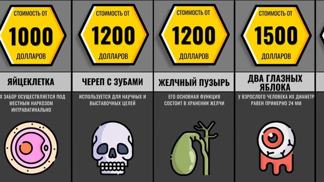 Стоимость Твоих Органов. Узнай Сколько Ты Стоишь?