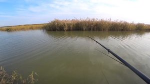 Рыбалка на красноперку. Красноперка на поплавочную удочку. Бешеный клев!!!