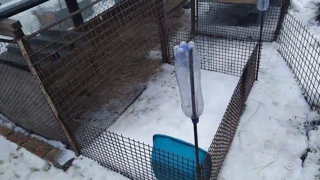 Подсадные утки в Новосибирске. Сезон - 2021. Выпуск 2. Запахло весной, можно чуток расслабиться. смотреть онлайн