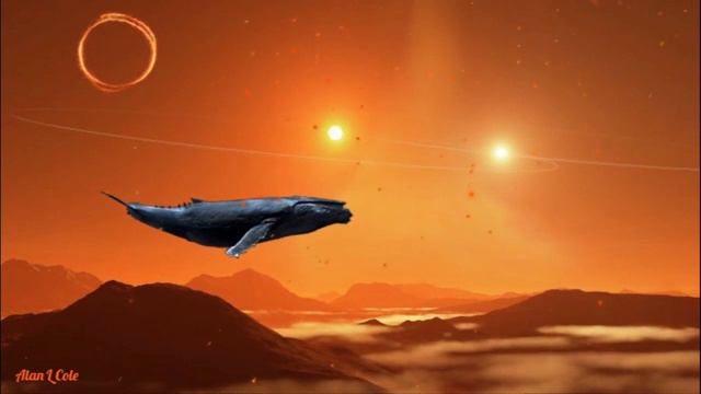 Blues LXVII Savage Worlds смотреть онлайн