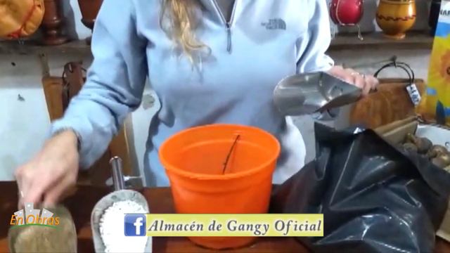 Semillas de invierno y plantación de bulbos. Virginia Gangitano de El Almacén de Gangy En Obras. смотреть онлайн