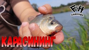Уговорил карася на силикон. Мормышинг на пруду.