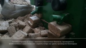 Топливные брикеты RUF из костры льна