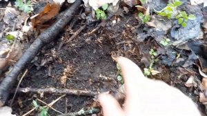 В поисках империи! Март 2024.